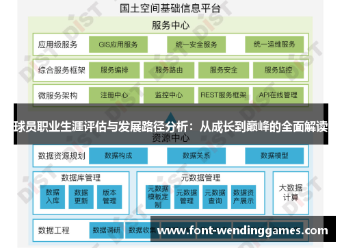 球员职业生涯评估与发展路径分析：从成长到巅峰的全面解读