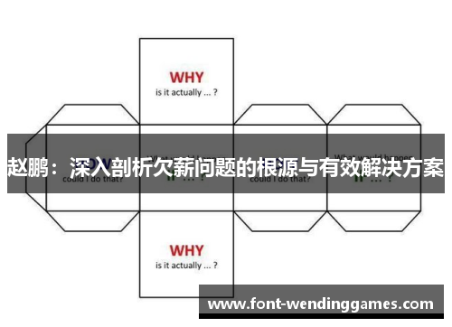 赵鹏：深入剖析欠薪问题的根源与有效解决方案